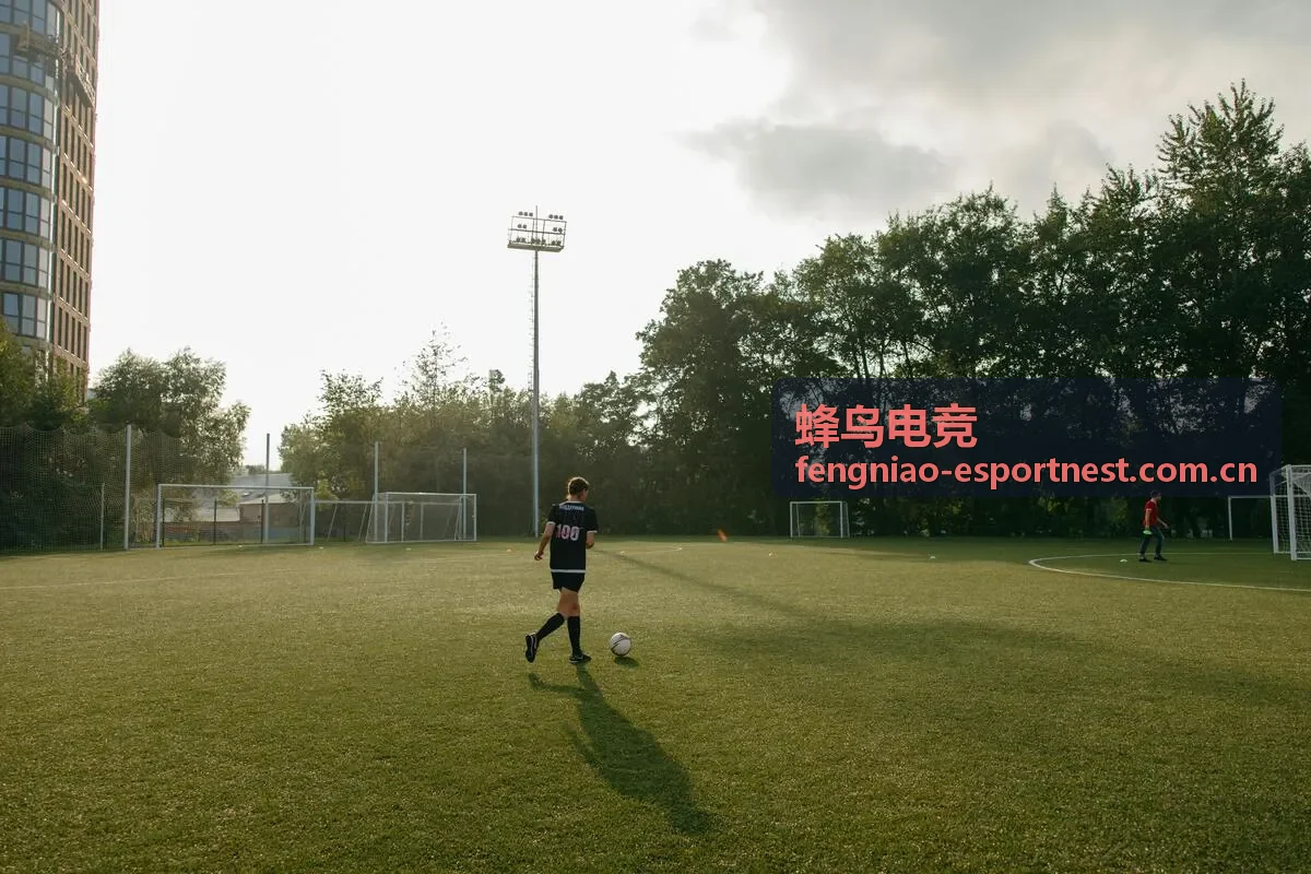 蜂鸟电竞战队专题封面